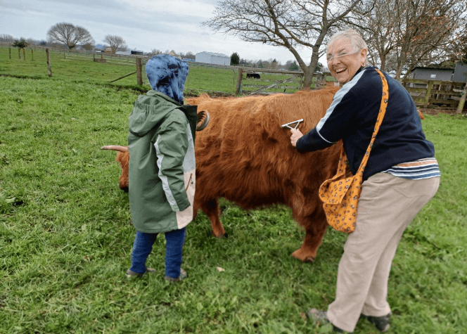 Hands-On Highland Herd: Private Farm Tour at Ralph Ranch, Taupiri