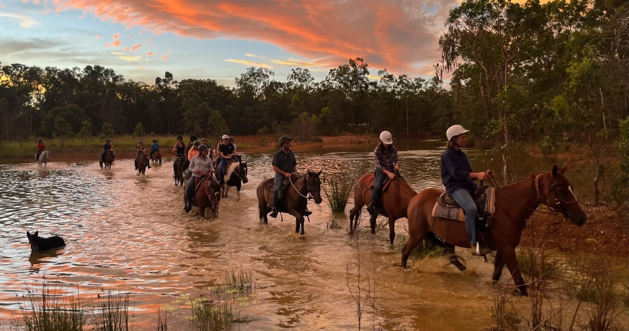 Moonlight Pub Ride with Nash Horse Trekking in Coominya