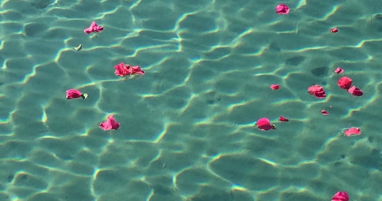 Scatter Ashes At Sea in Key West, Florida