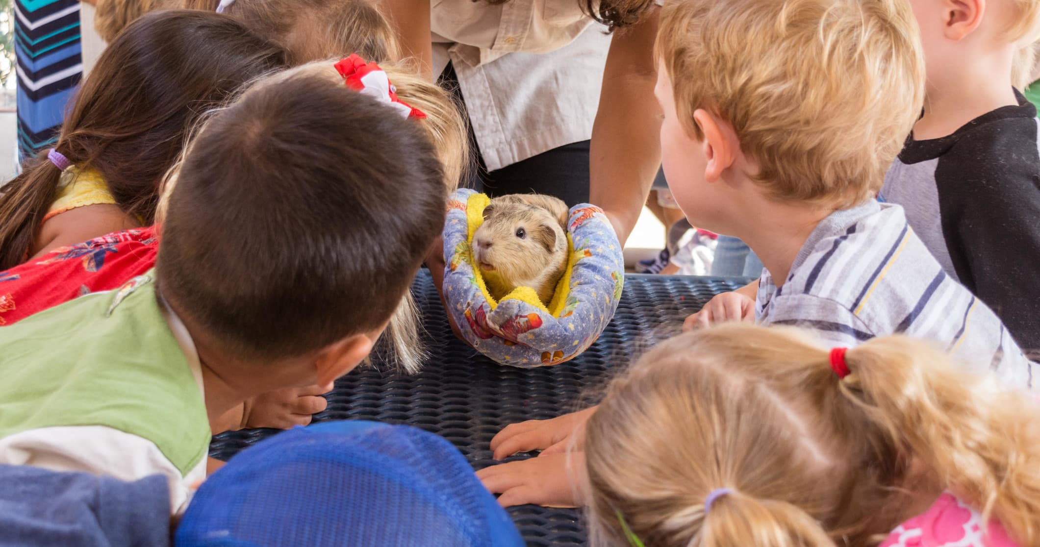 Wildlife & Education with Zovargo's Animal Programs