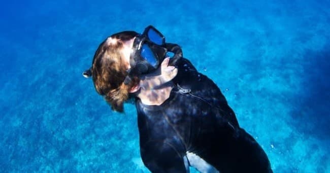 Molokini & Turtle Snorkeling Adventure in Wailuku, Hawaii