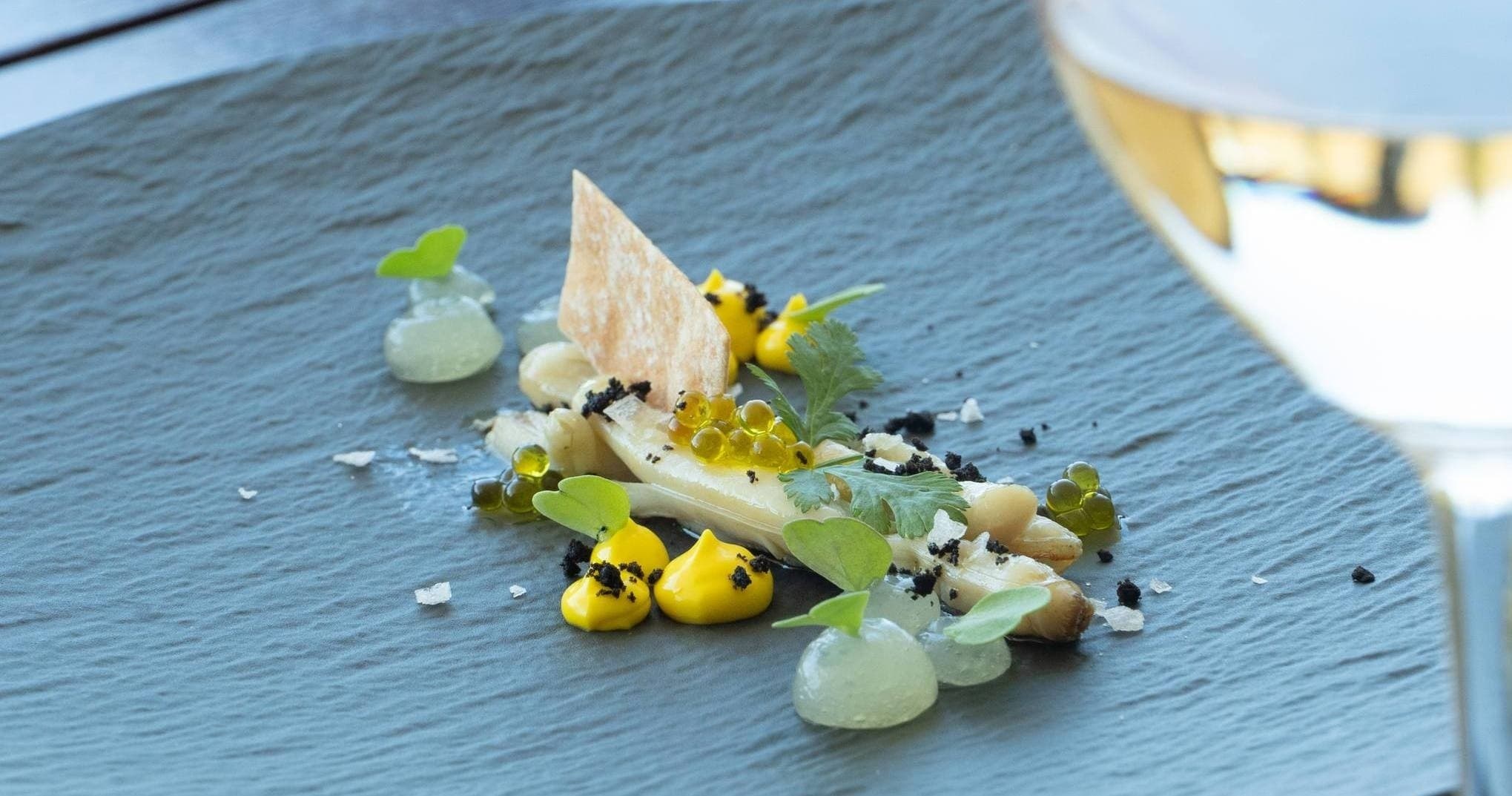 Extremadura Wine & Tapas Experience by Farm Experiences & Tours