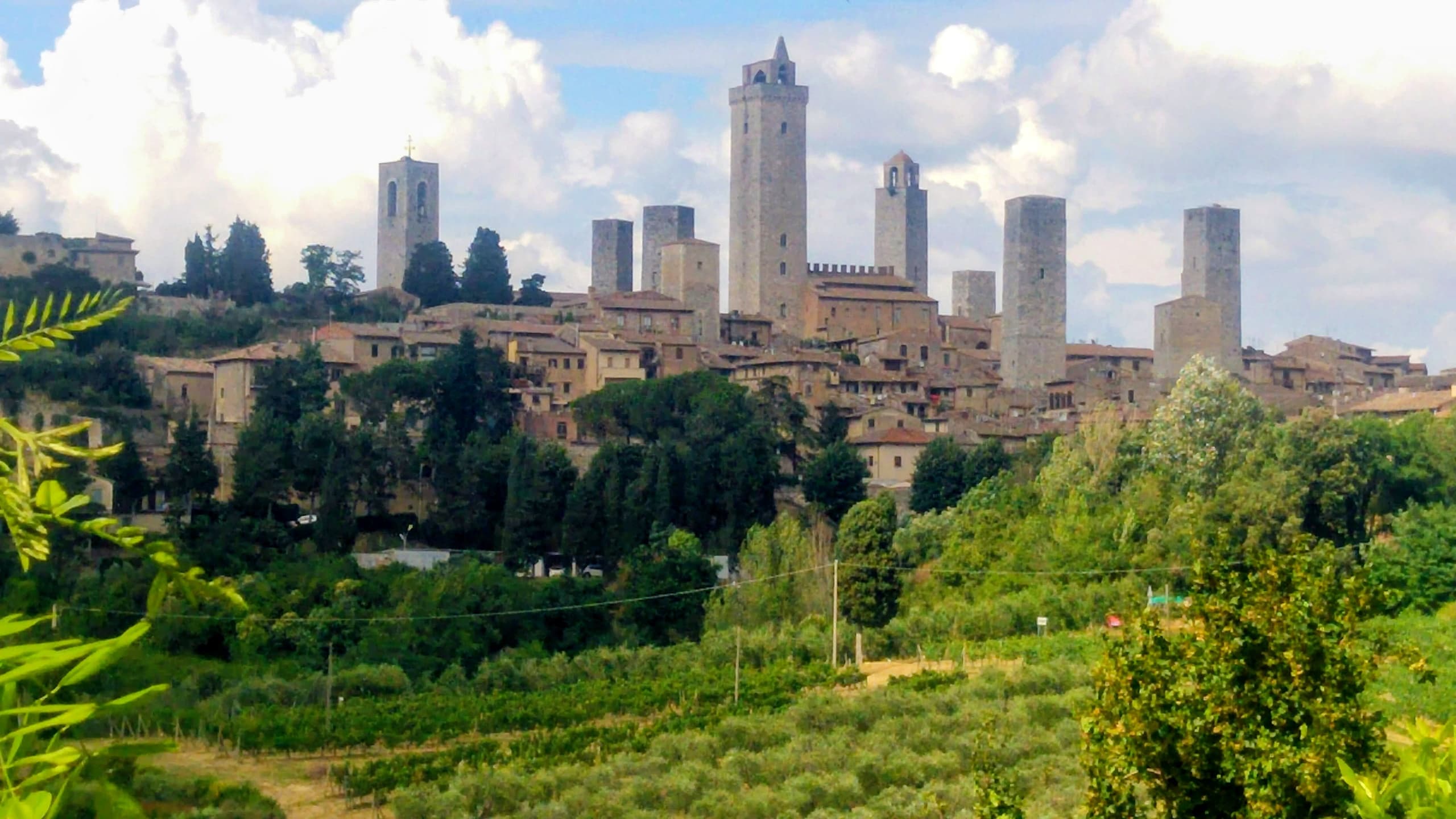 One-Day Tuscany: Pisa, Siena & San Gimignano from Florence photo 4
