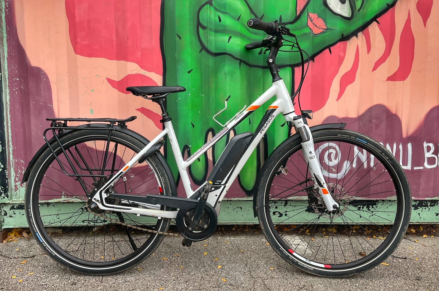 Barton Springs Bike Rental & Tours team