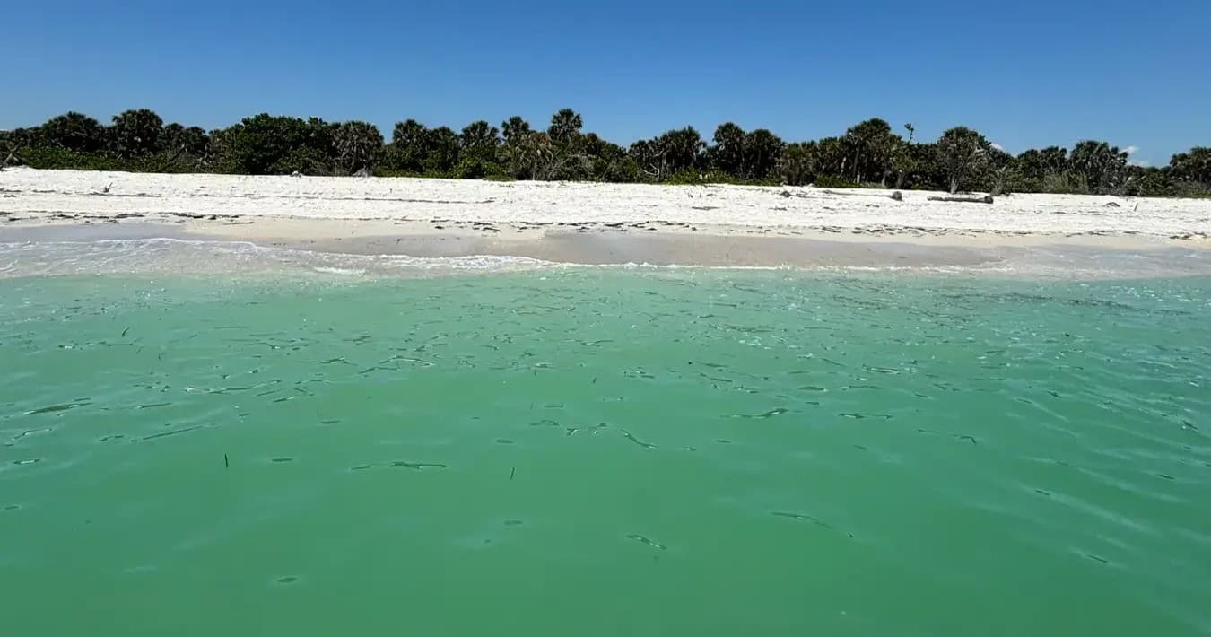 Family Fun & Fishing with Reel Sharp Sportfishing in Islamorada