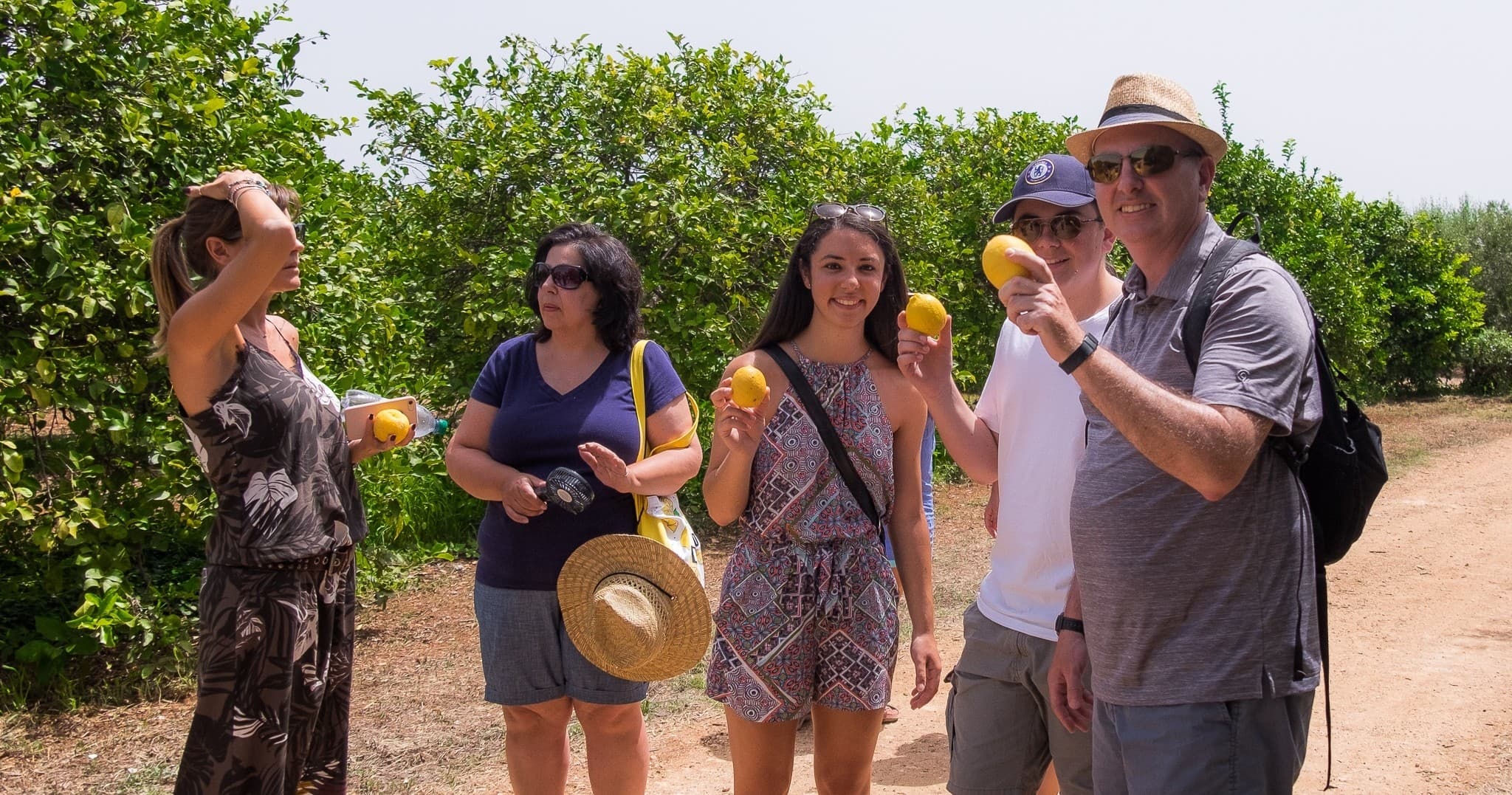 Sicilian Olive Oil & Lemon Experience by Farm Experiences & Tours