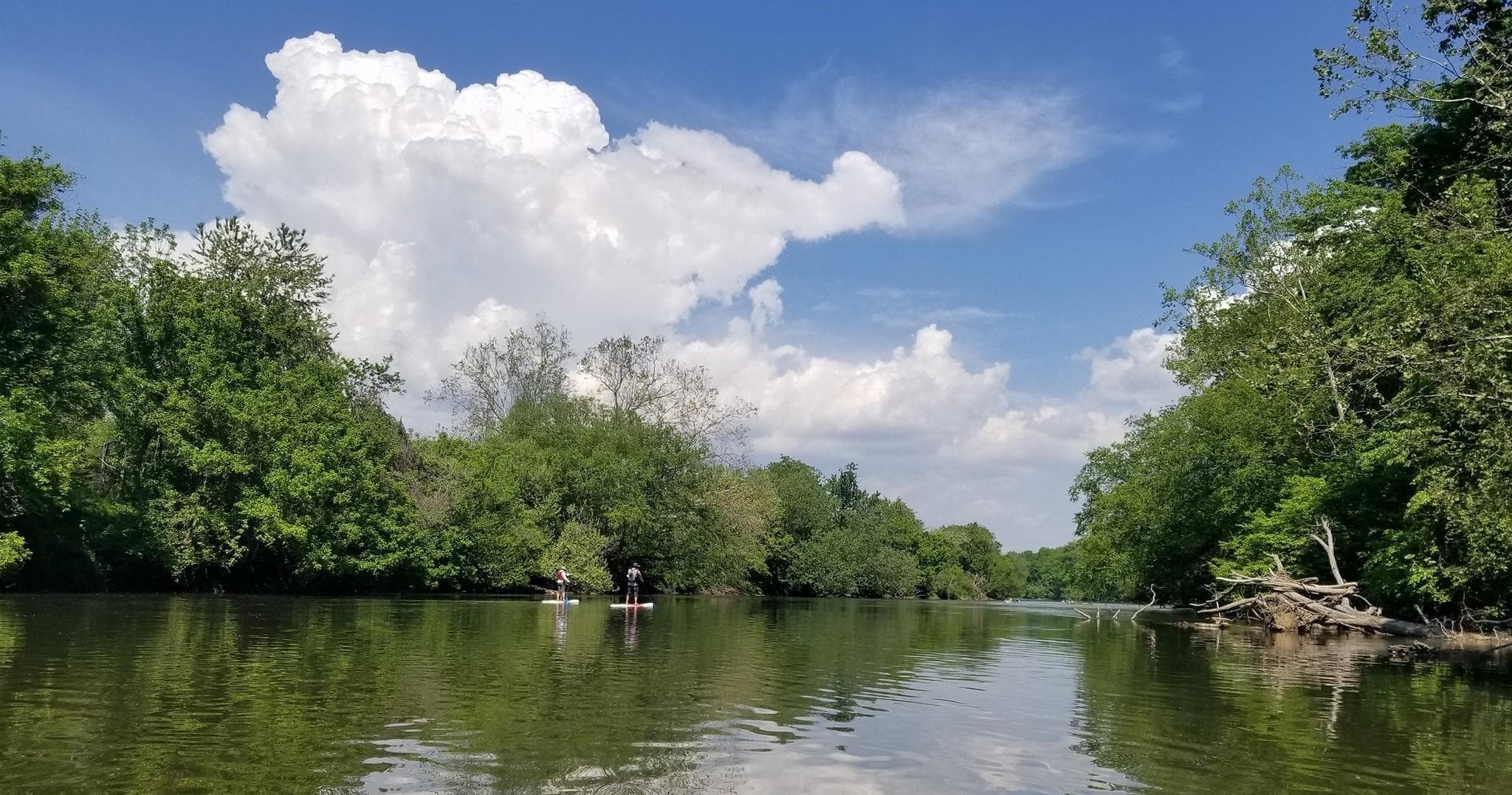 Kayaking Adventure on Asheville's Biltmore Estate & River