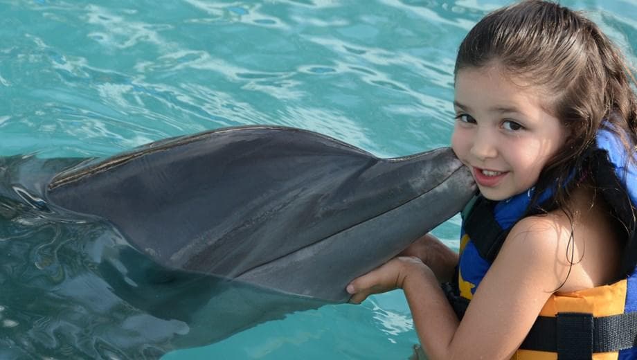 Dolphin Encounter at Aquaventuras with Puerto Vallarta Net