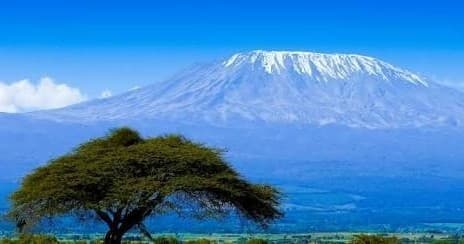 Acacia tree with Mount Kilimanjaro vista, African mountain hike