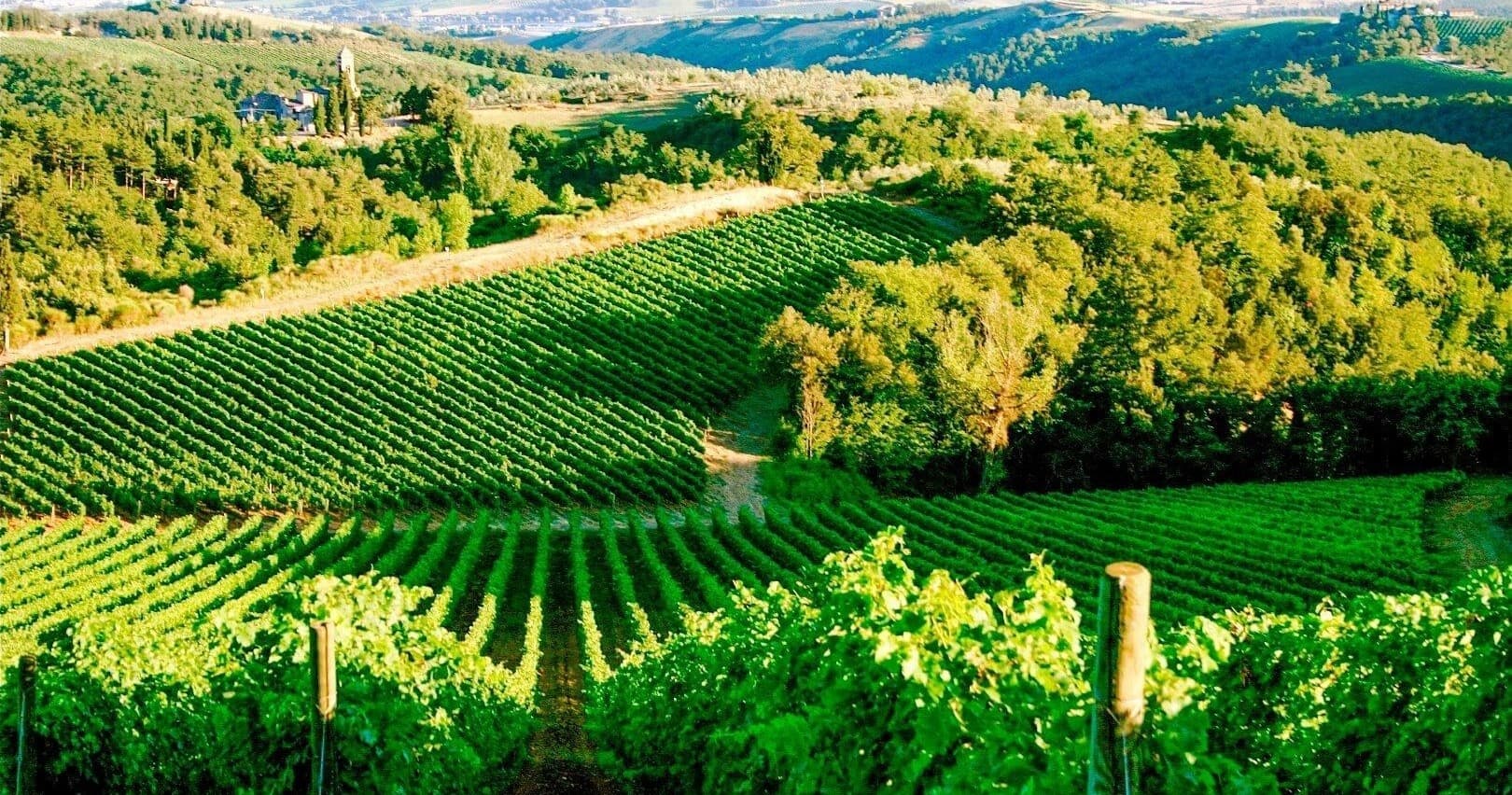 Wine Tour by Tuk Tuk in Sardinia with Ape Romantic Tour
