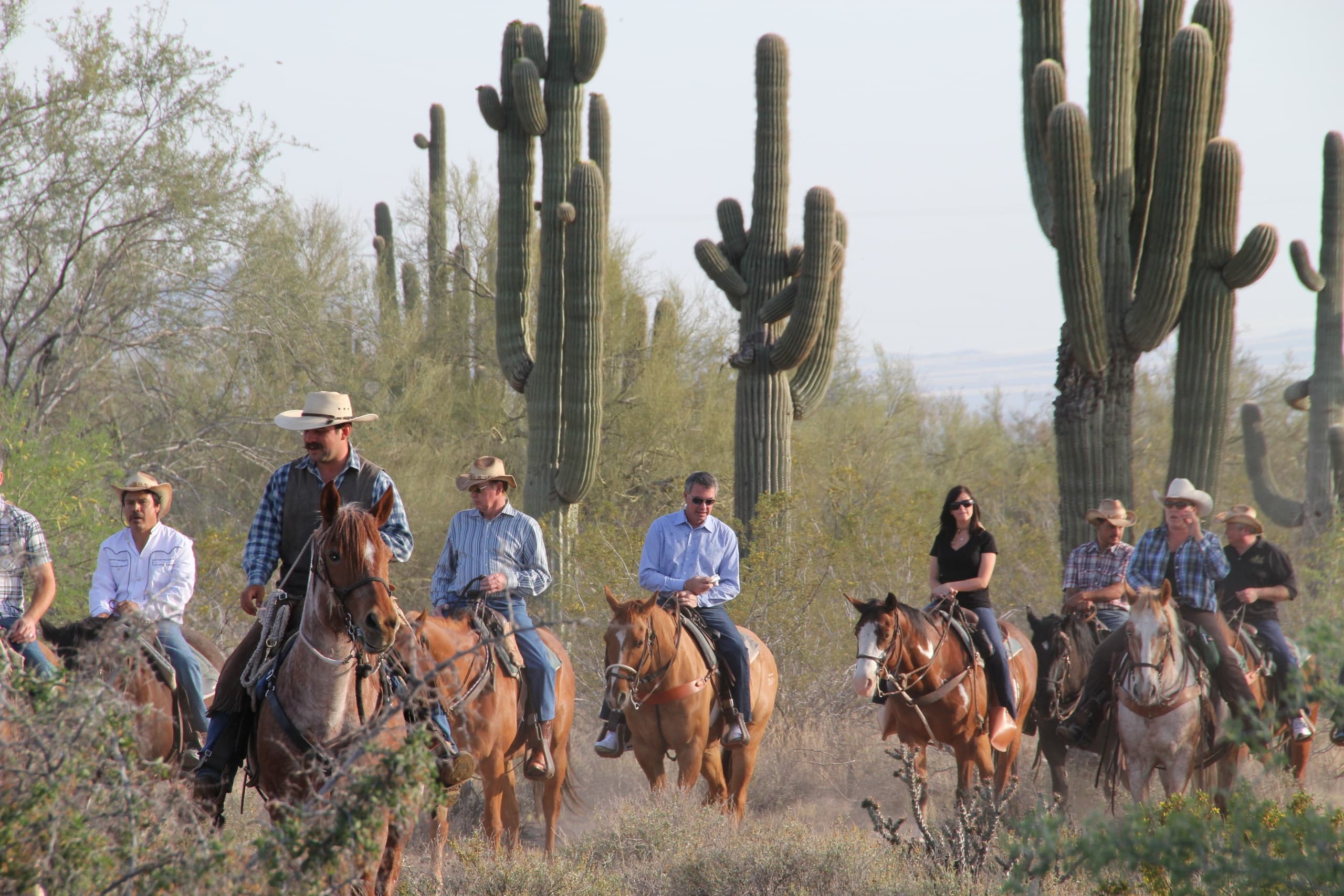 Scottsdale Horseback Ride and Sunset Cookout Experience