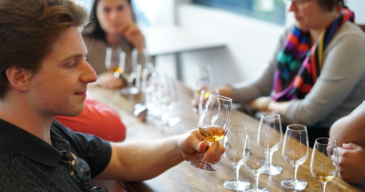 Wine Tasting & Winemaking at Reguengos Monsaraz Experience