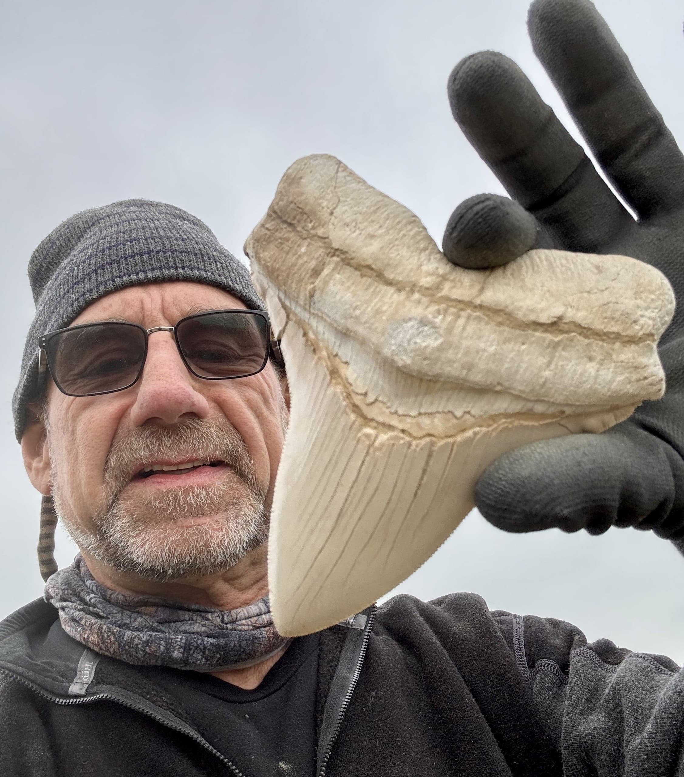 Kern River Fossil Discovery: Find Shark Teeth at Okihi Fossil Field Station