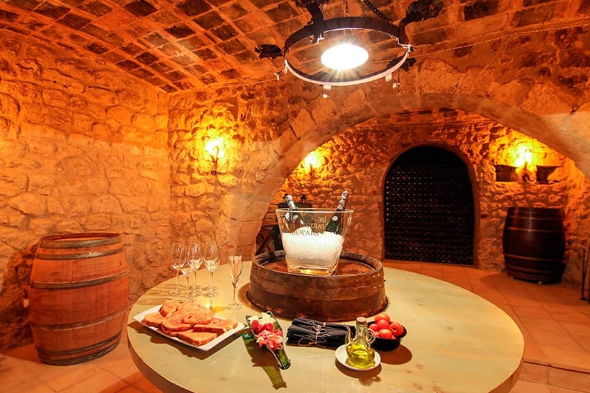 Wine Tasting & Cava Tour in Penedès, Catalonia