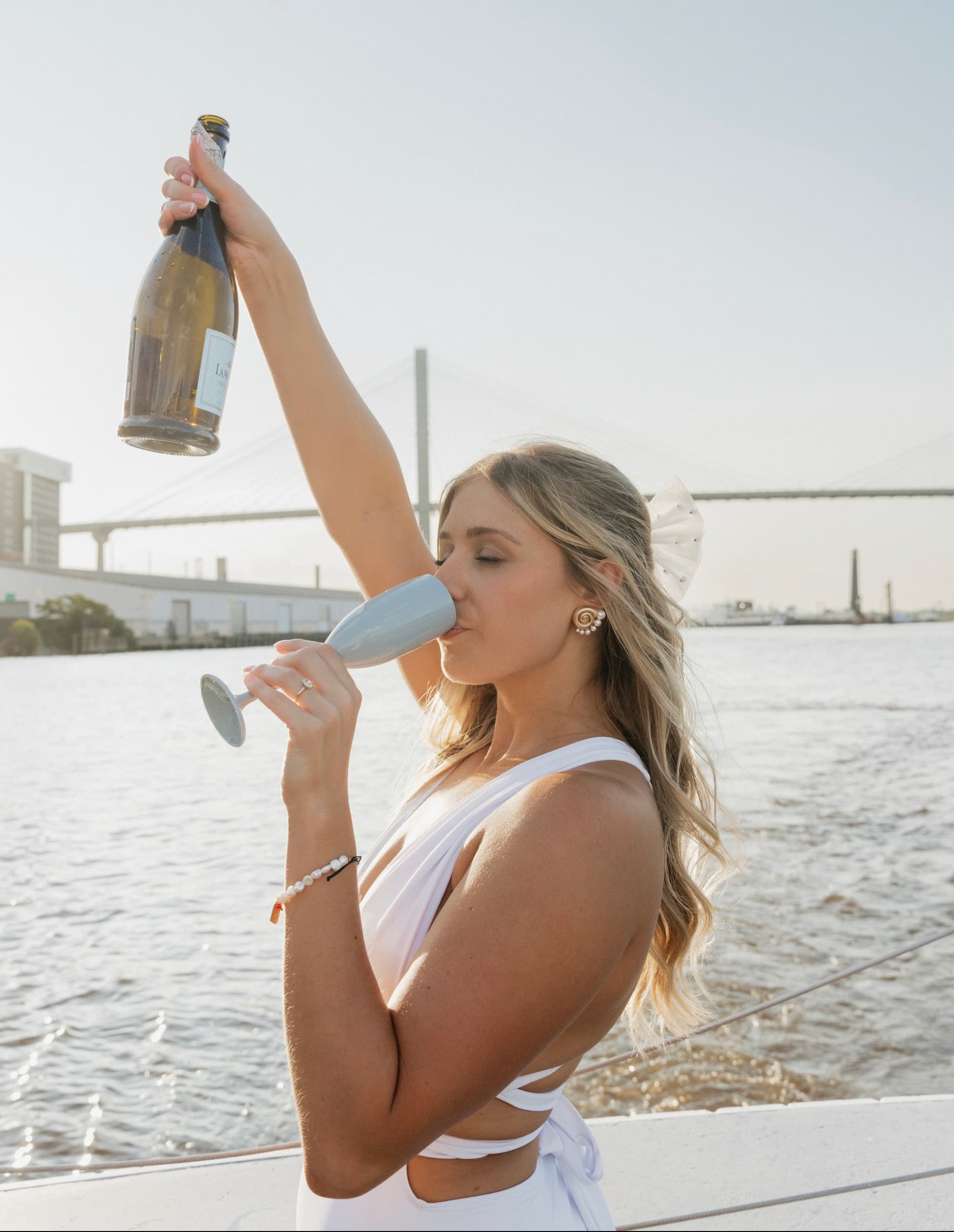 Savannah Private Party Boat Cruise: Dolphins, Charcuterie & Scenic River Adventures