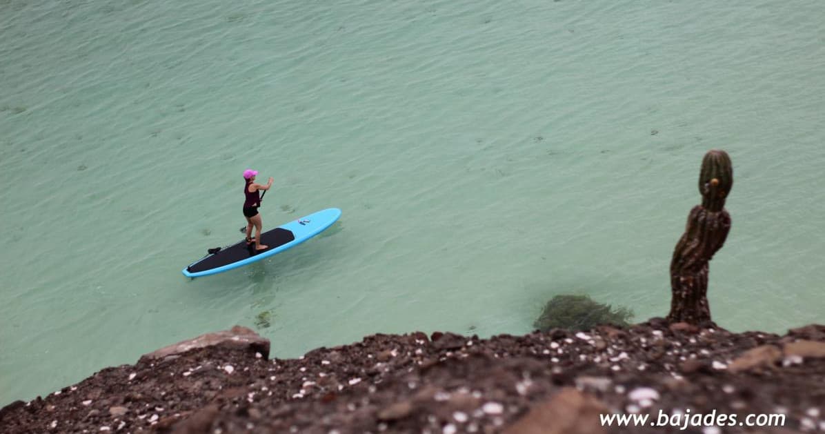 Water Activities in Baja Desconocida: Snorkel & SUP Adventure