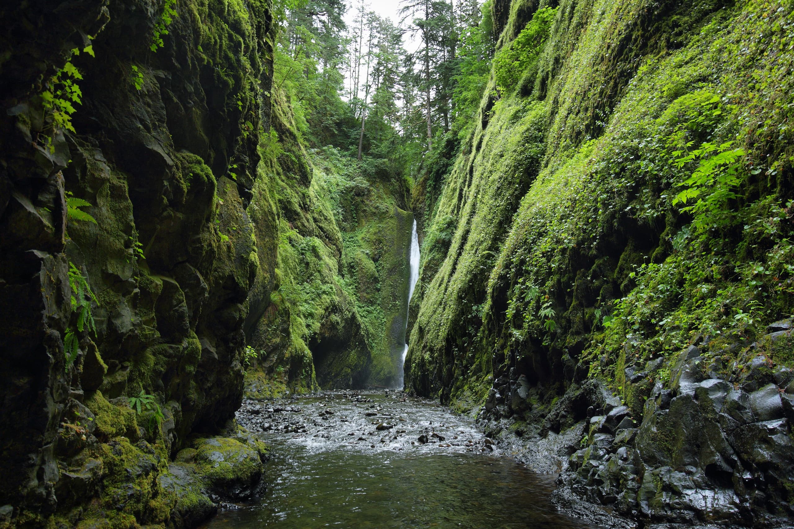 Three-Hour Columbia River Gorge Private Tour from Hood River