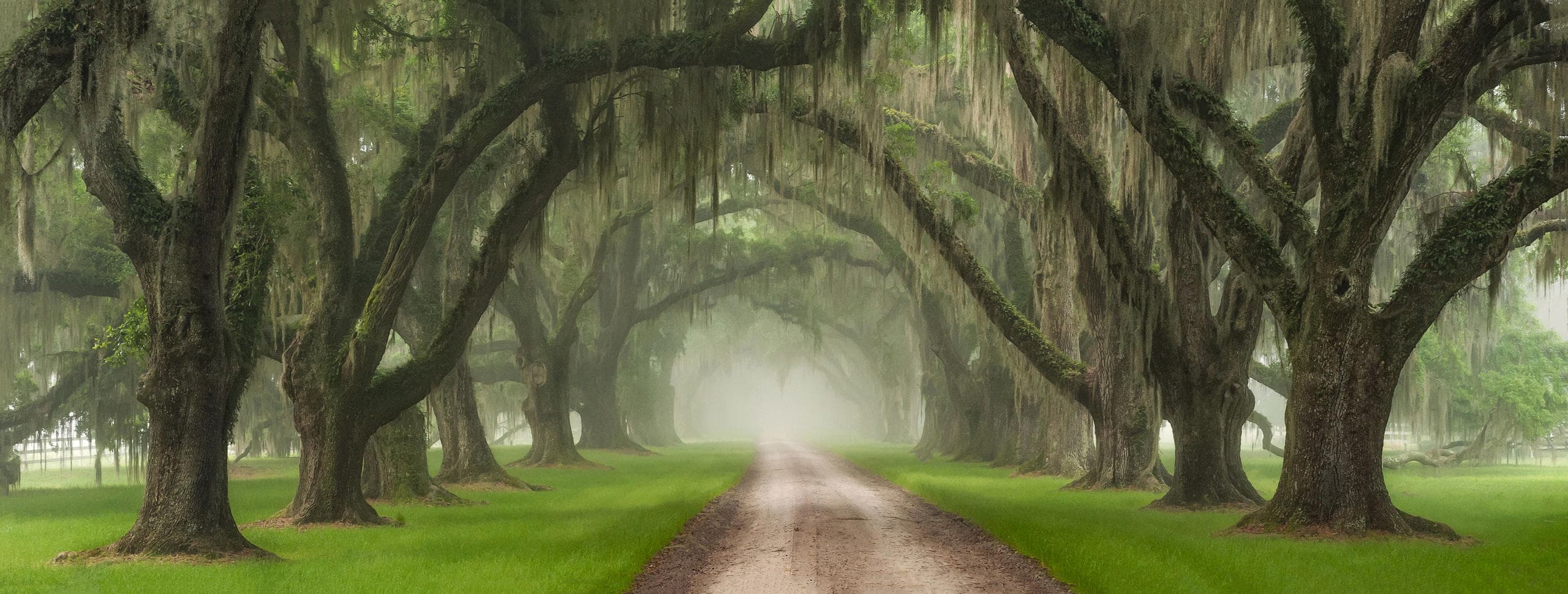 Essence Of The Lowcountry Sunrise Photography Tour in Goose Creek