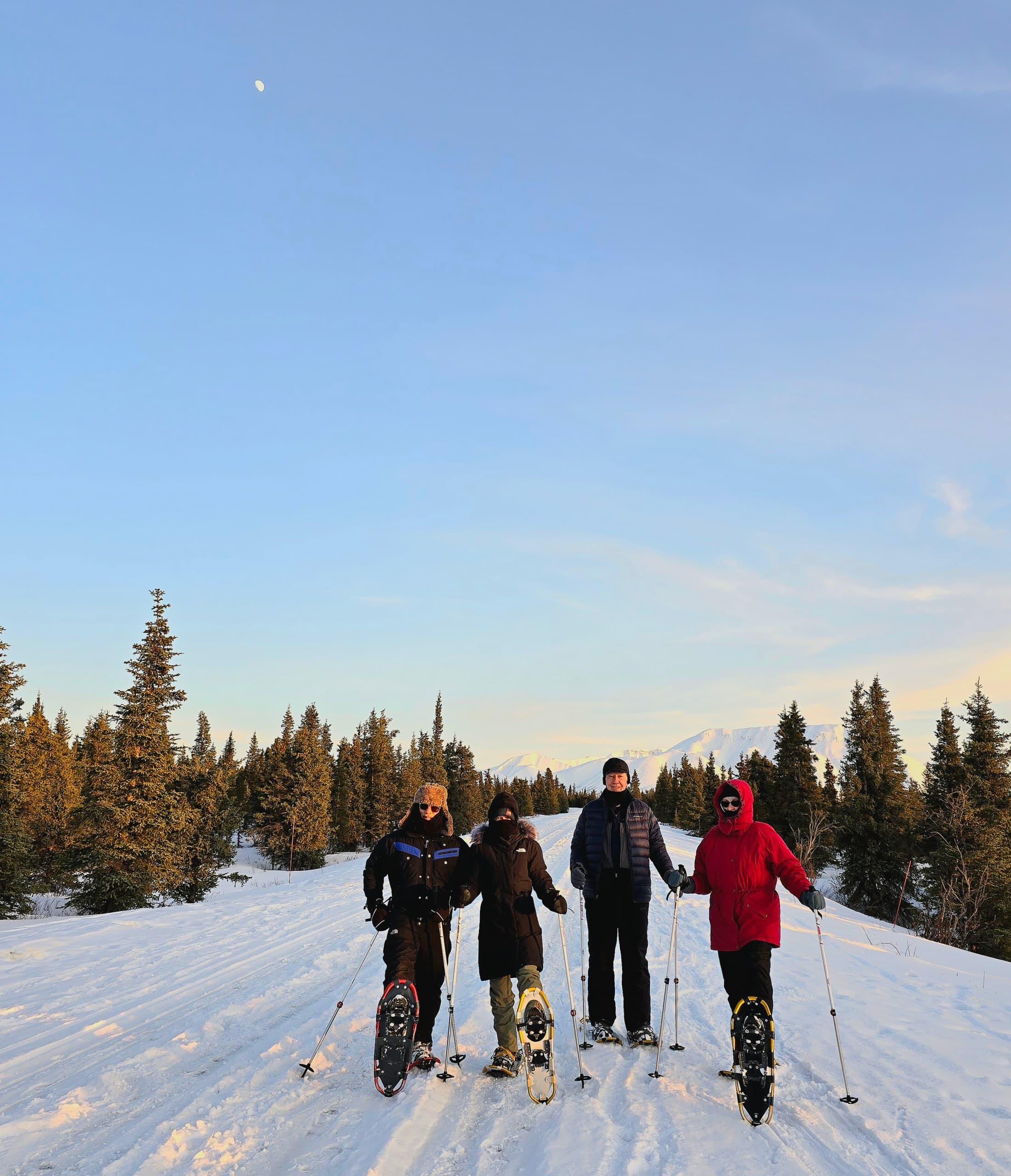 Snowshoe Forest Walks at Sluice Box Sled Dogs — Ester, AK Winter Wildlife Tours photo 4