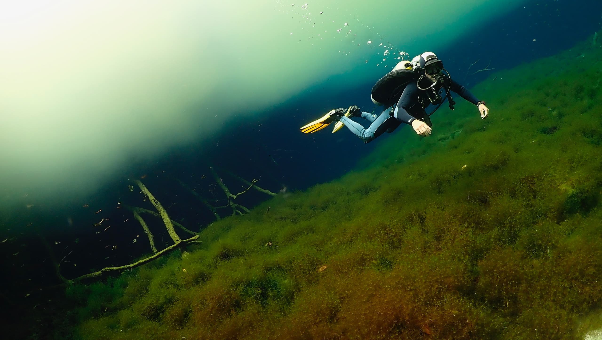 Cenote Diving with Mexidivers Tulum in Quintana Roo