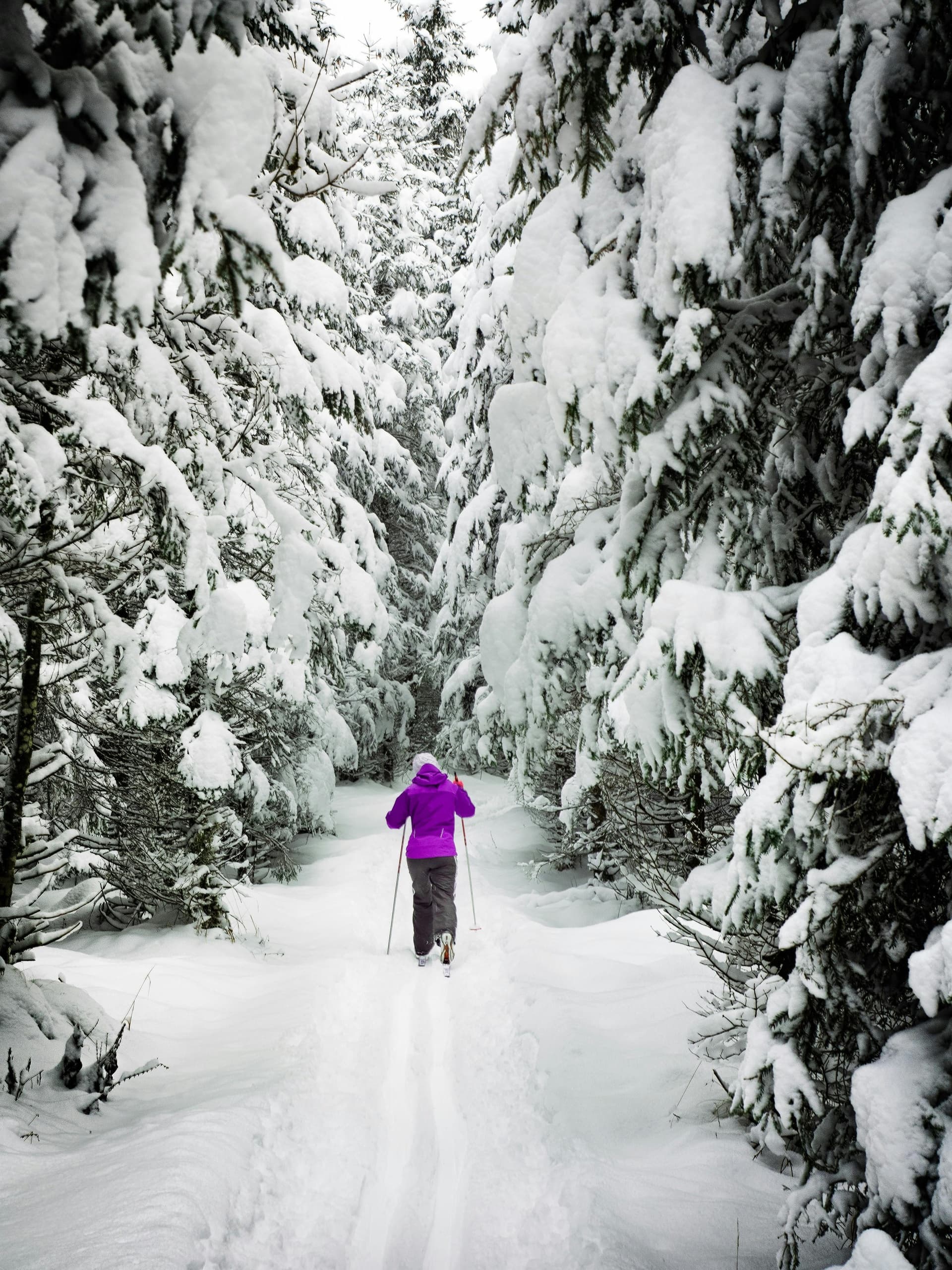 Retail Innovation Insights with Tour Glacier in Somers, MT