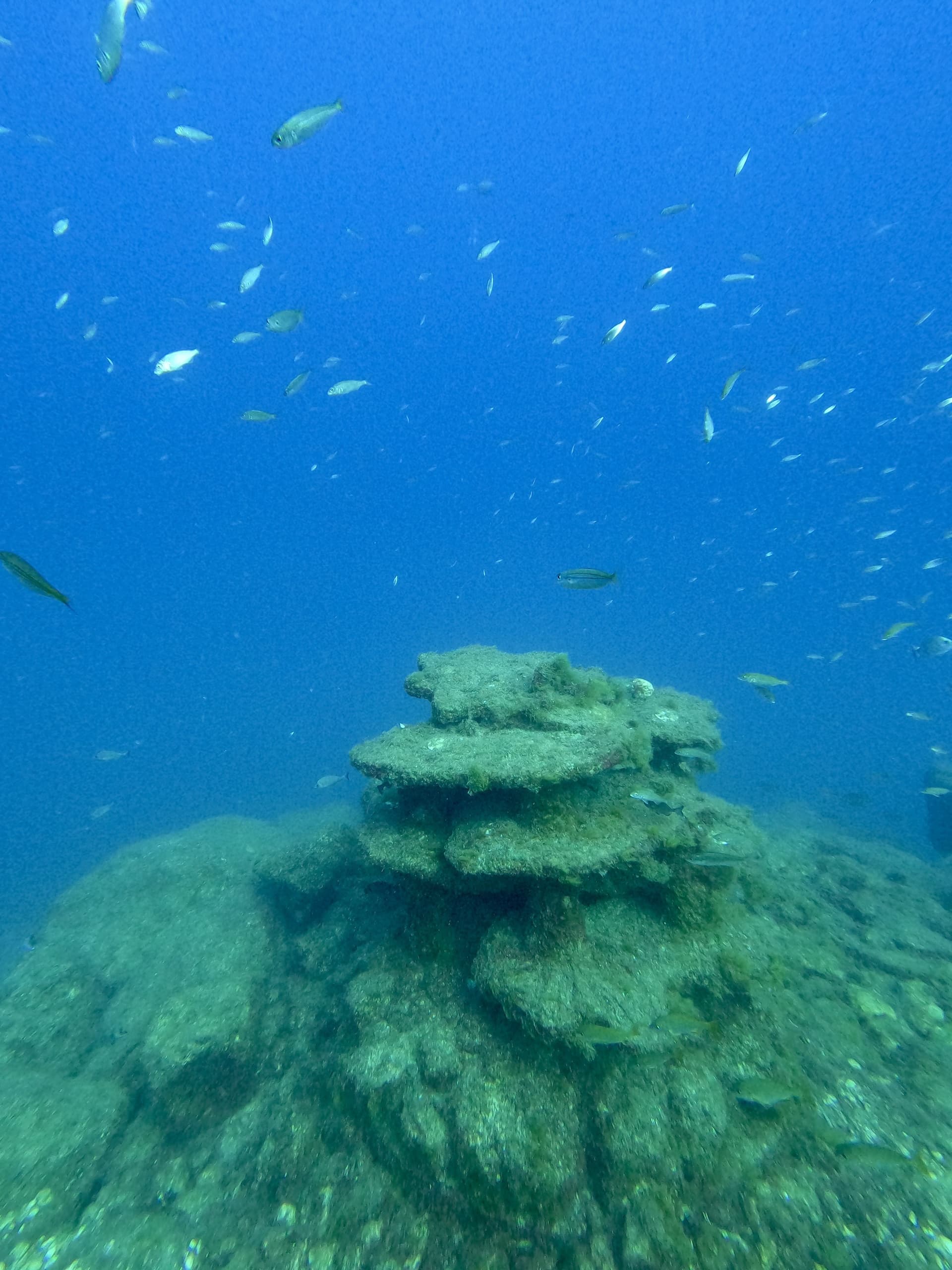 Water Activities at Biòtop All Blue Diving in Costa Daurada