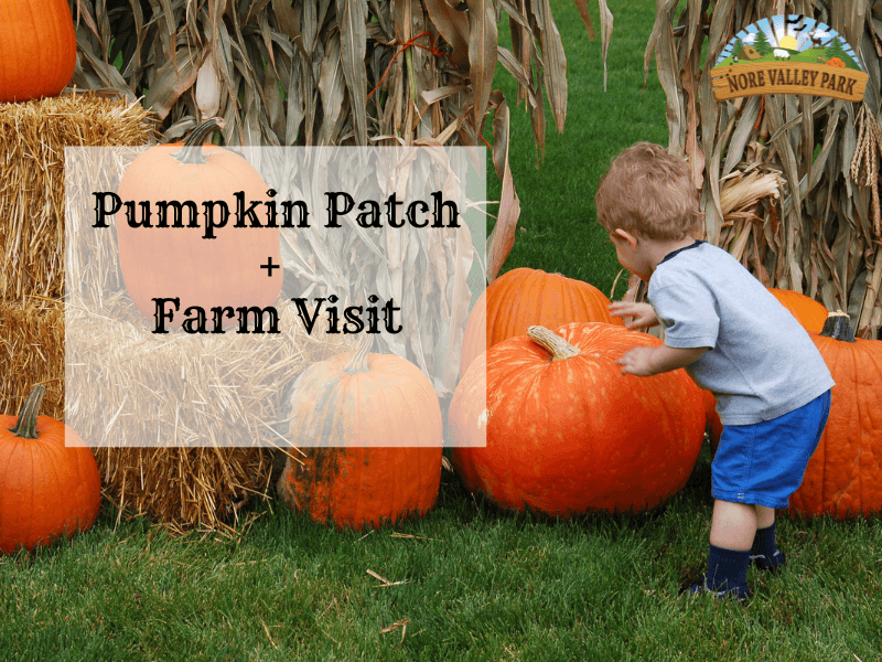 Family Farm Fun at Nore Valley Park in Kilkenny