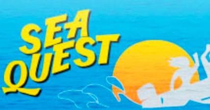 Seaquest Rafting: Snorkeling & Wildlife Tour in Hilo, Hawaii