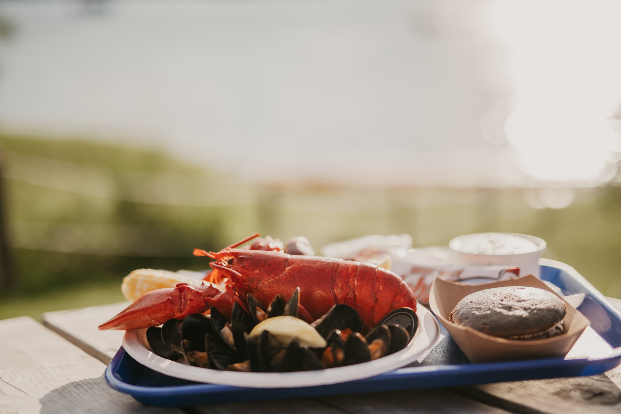 Fresh lobster and mussels served on picnic tray by the seaside picnic table