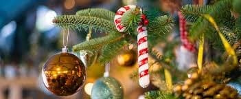 Seasonal Land Adventure with Beyond Horizons Tour & Travel