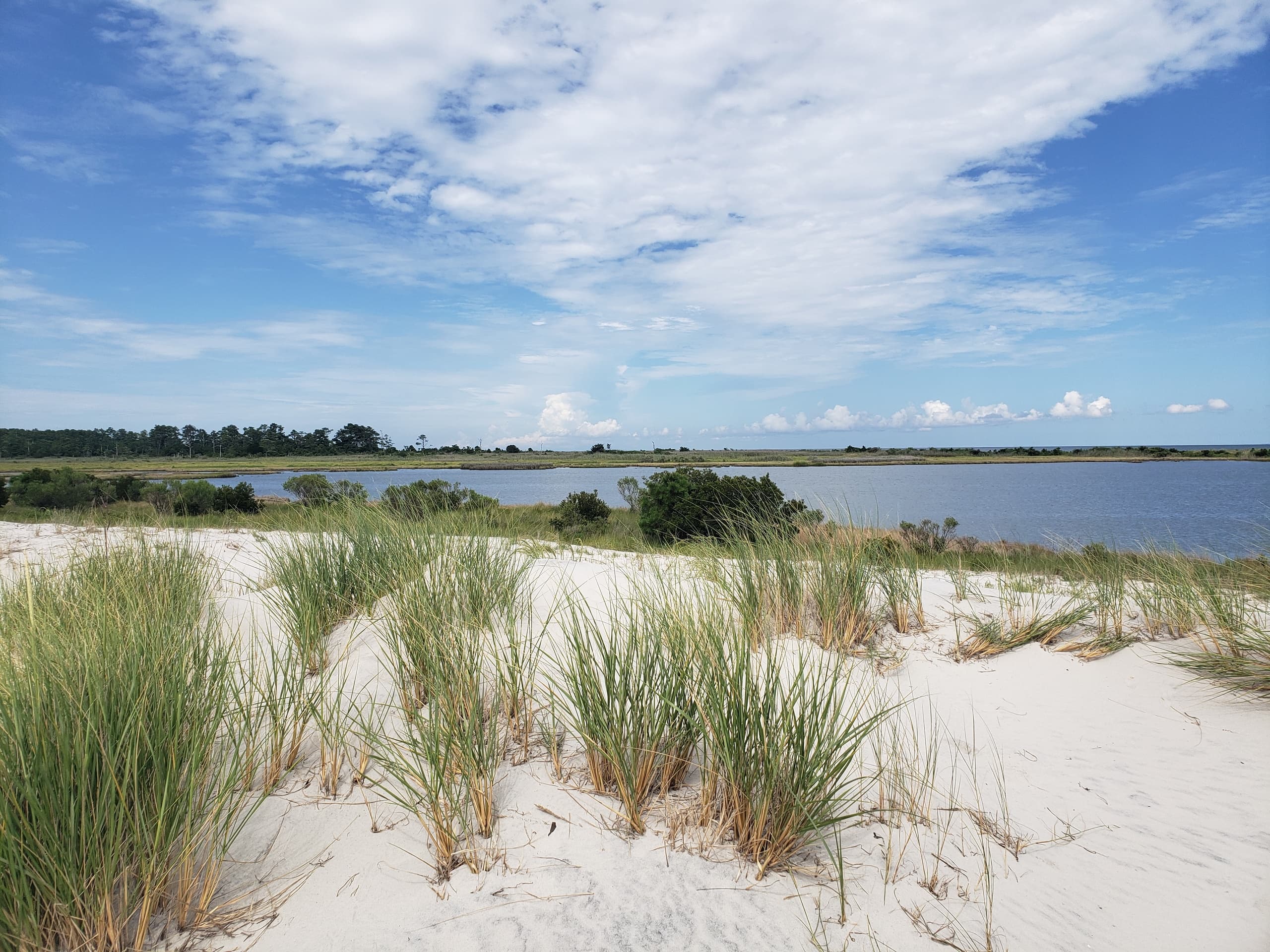 Paddle the Pristine Waters of Mobjack Bay: Tour de Chesapeake (New Point) Kayak Adventure
