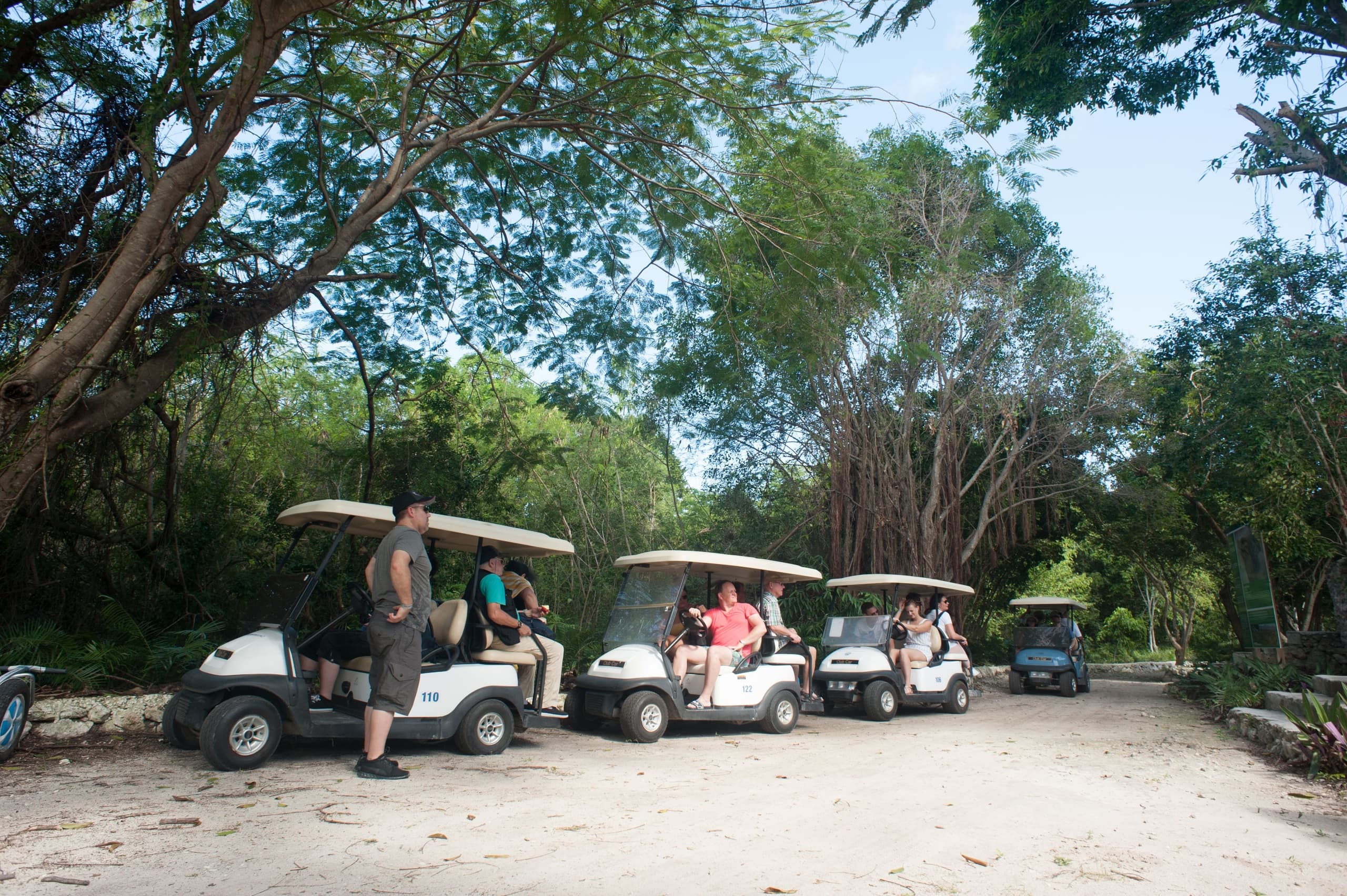 Explore Punta Cana's Natural Wonders on the GreenWheels Eco Tour