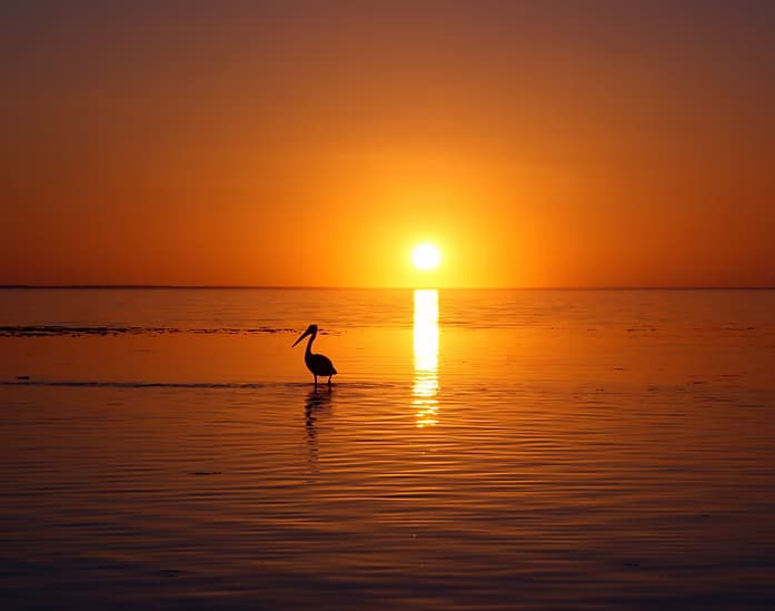 Boat Charters & Water Activities with Sarasota Excursions LLC