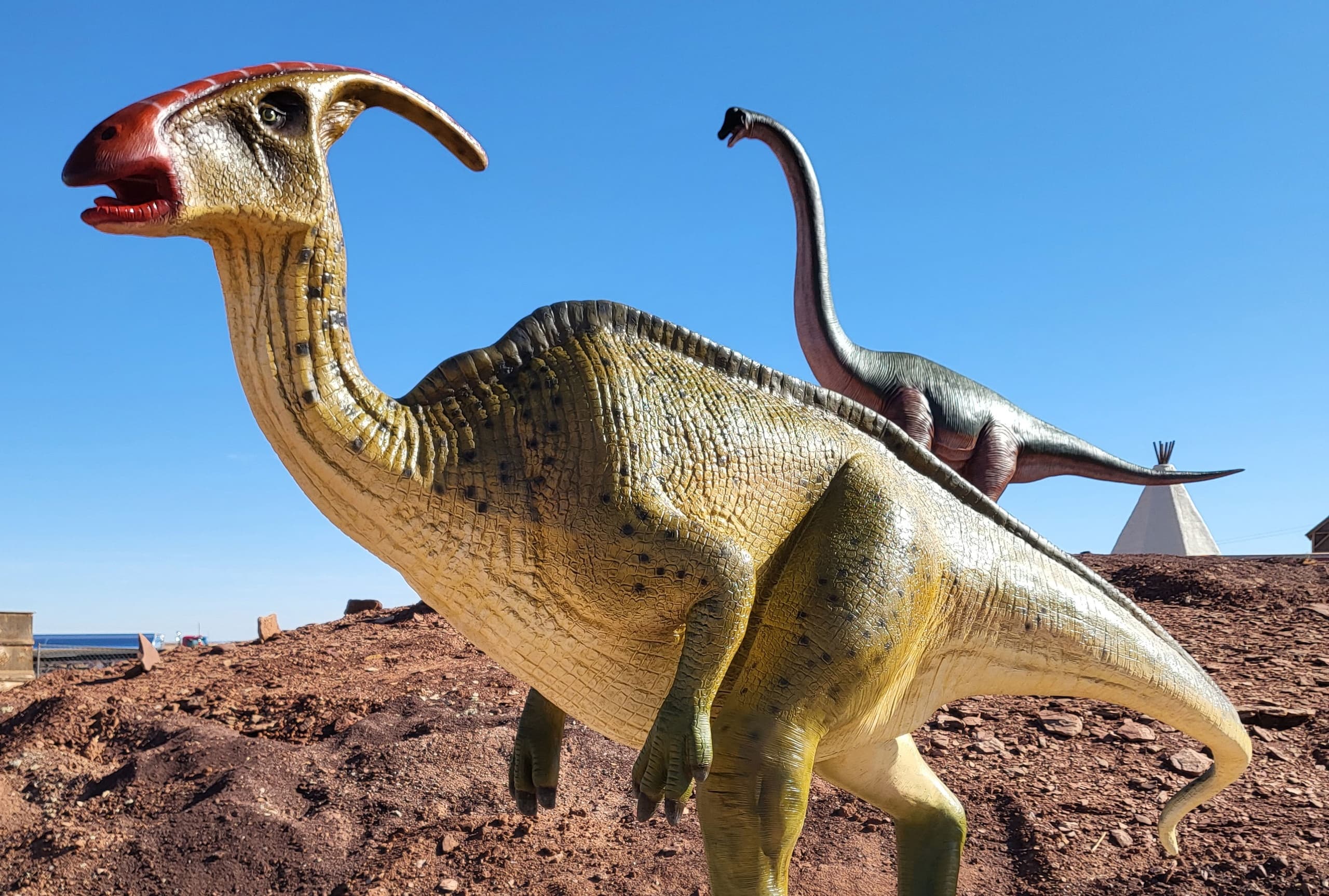 Wildlife & Family Fun at Dino Drive-Thru in Meteor City
