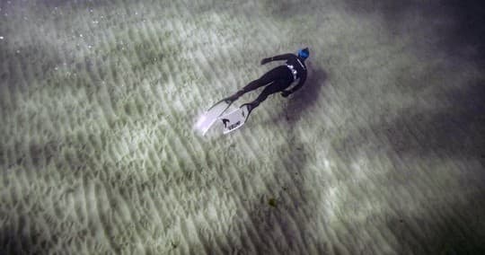 Beginner Freediving Pool Experience in San Diego, CA