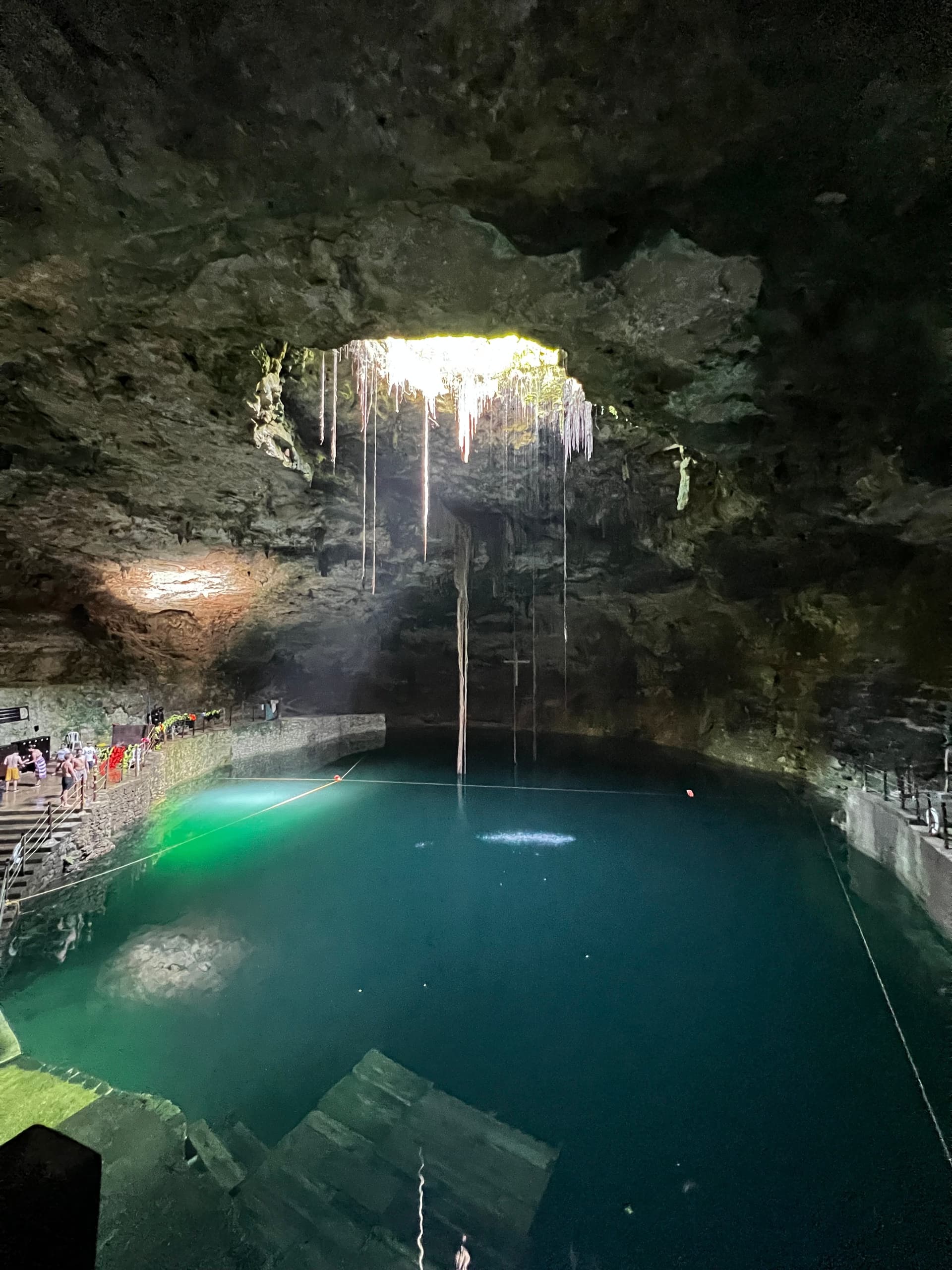 Sunlit sinkhole cenote with hanging roots and emerald swimming water