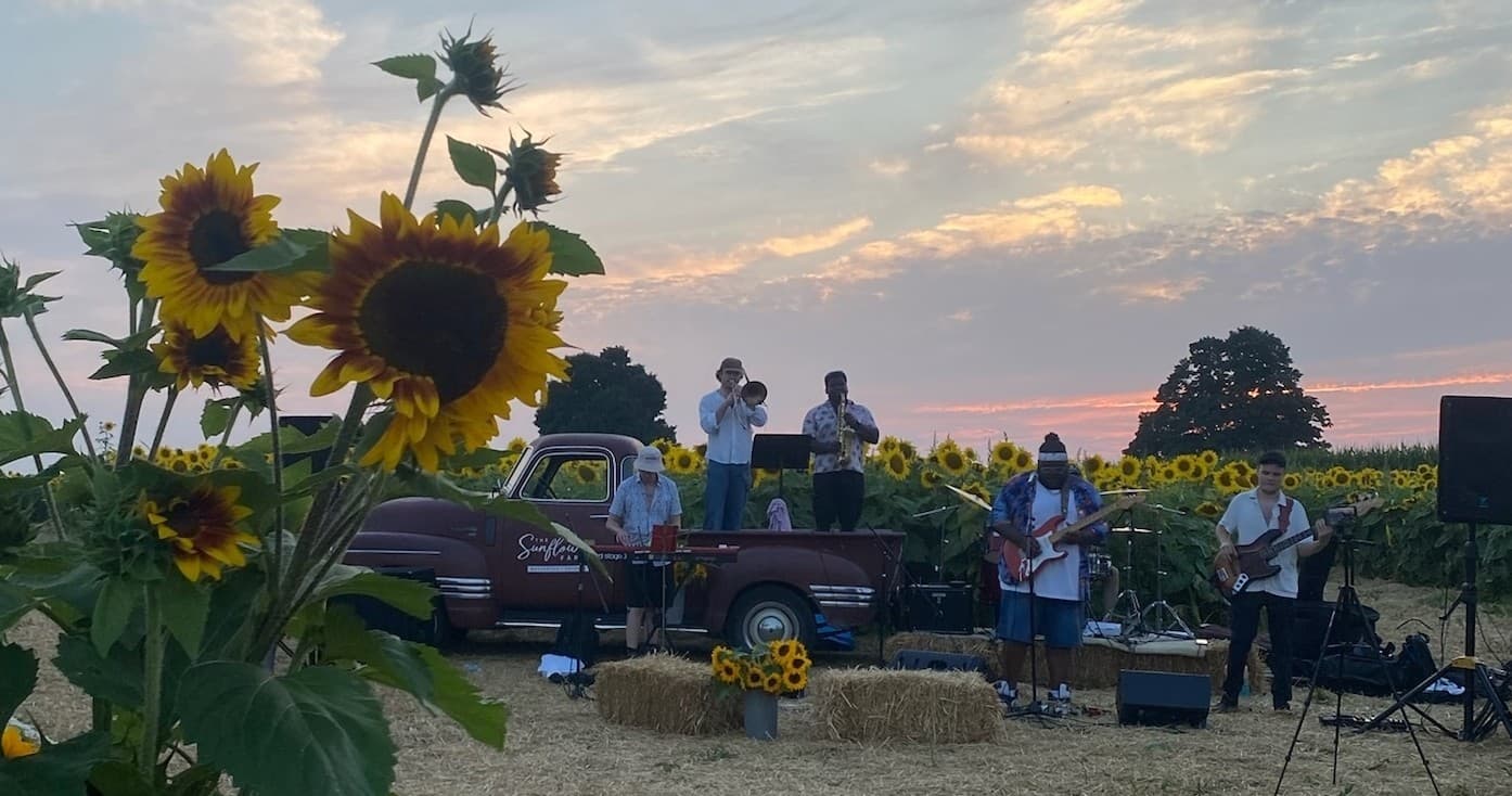 Music & Nature: Blooms & Brews Sunset Concert at The Sunflower Farm