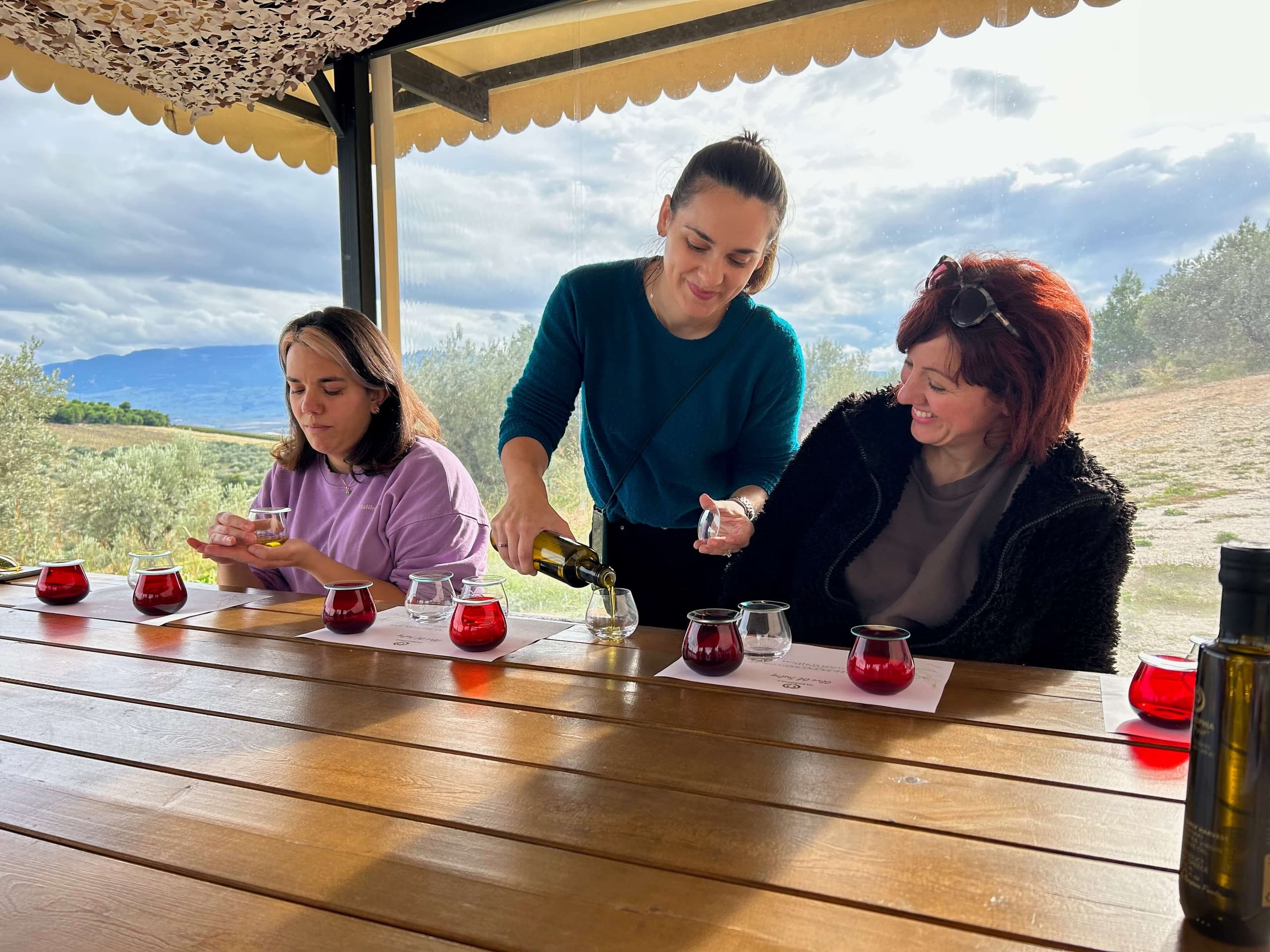 Wine tasting with group on scenic outdoor vineyard terrace