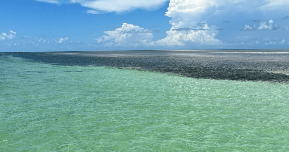 Boat Tour in Key West, Florida