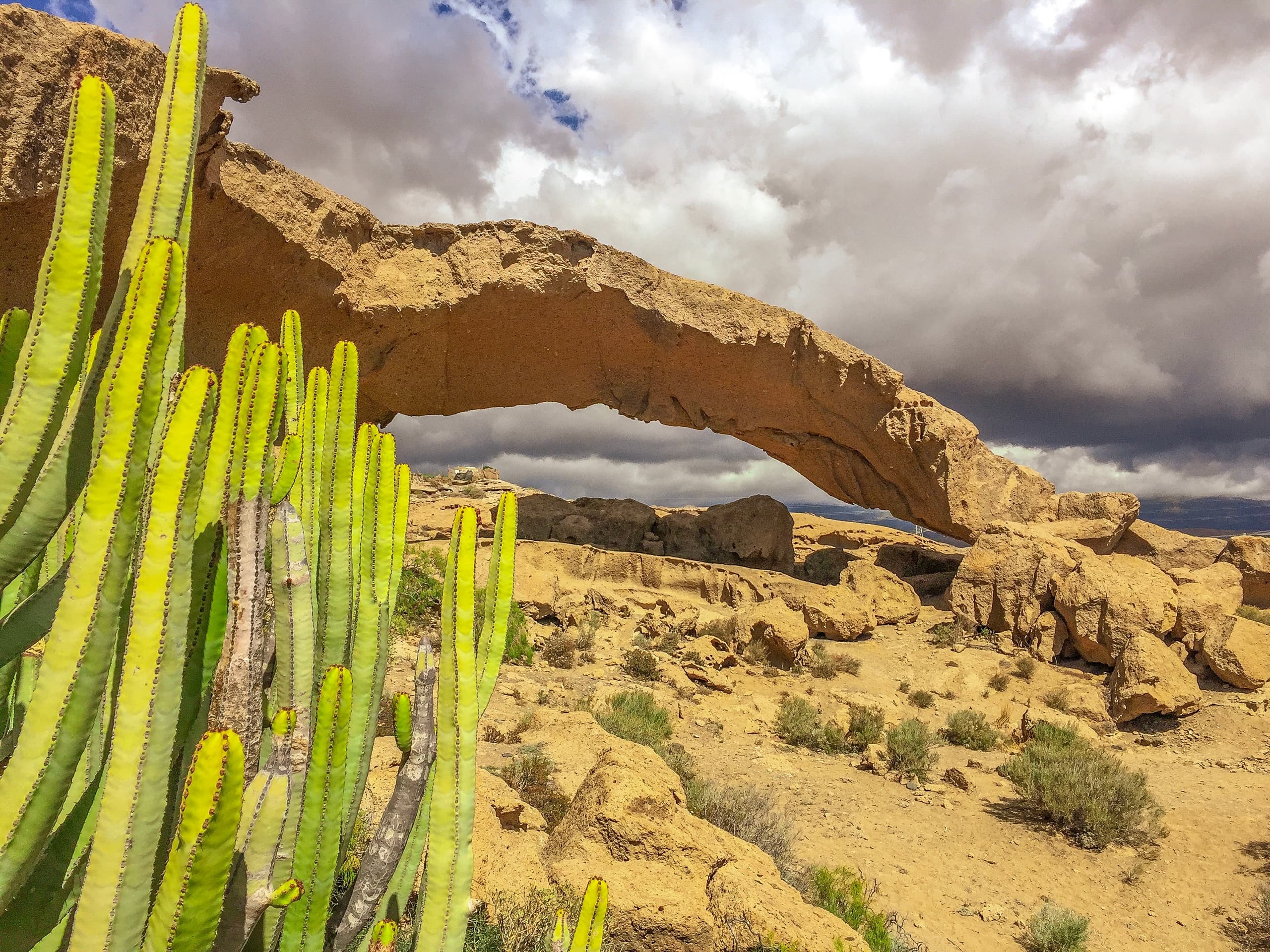 Volcanic Discovery in Tenerife with FEEL TENERIFE