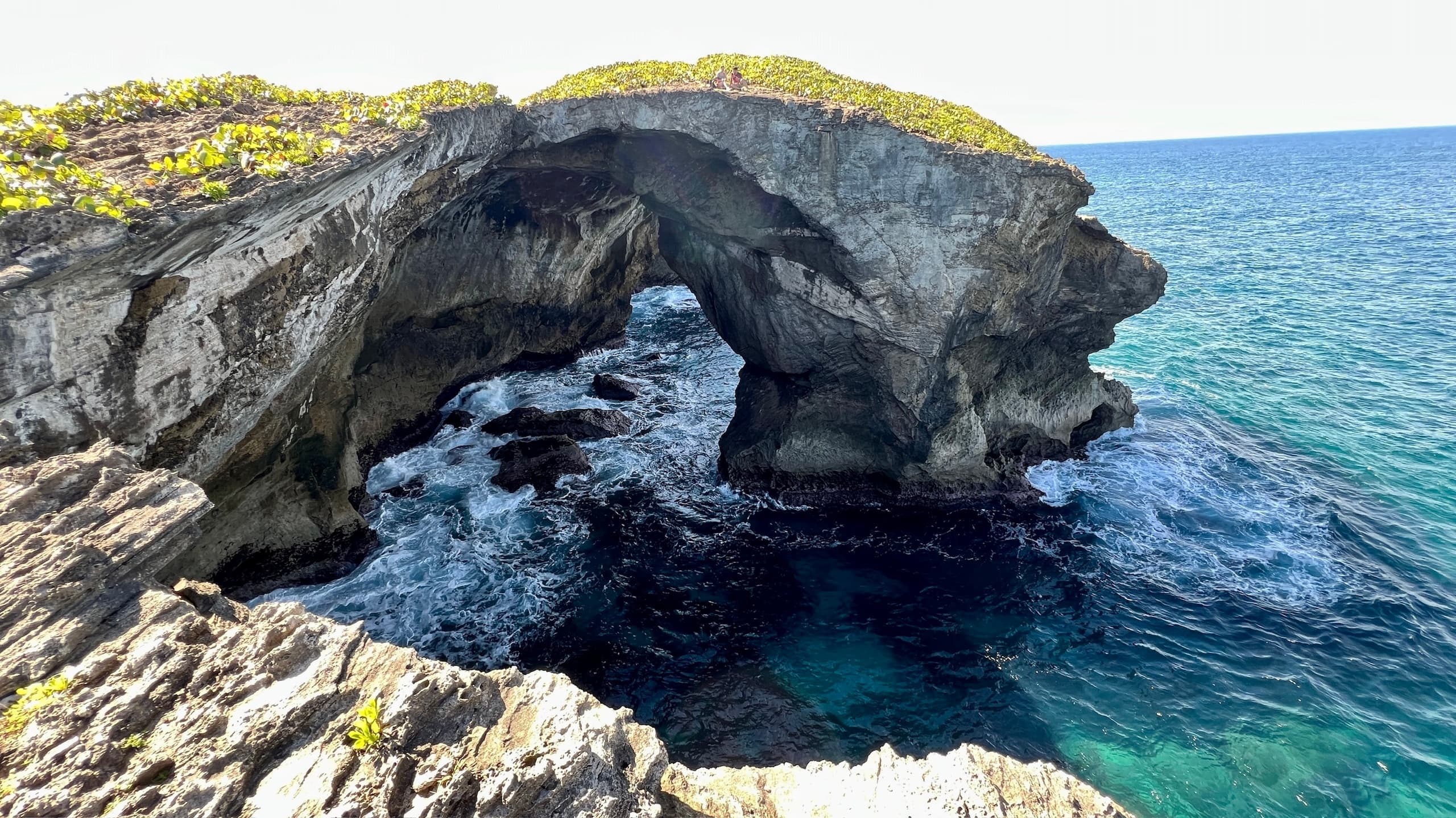 Caving & Water Spring Tour with GeoAventuras PR in Arecibo