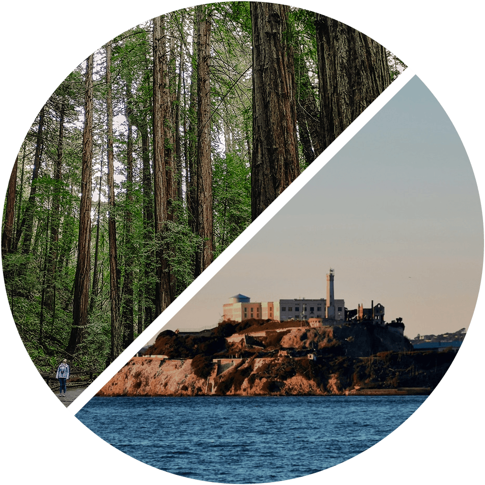 San Francisco Sightseeing with SF Excursions: Alcatraz & Muir Woods
