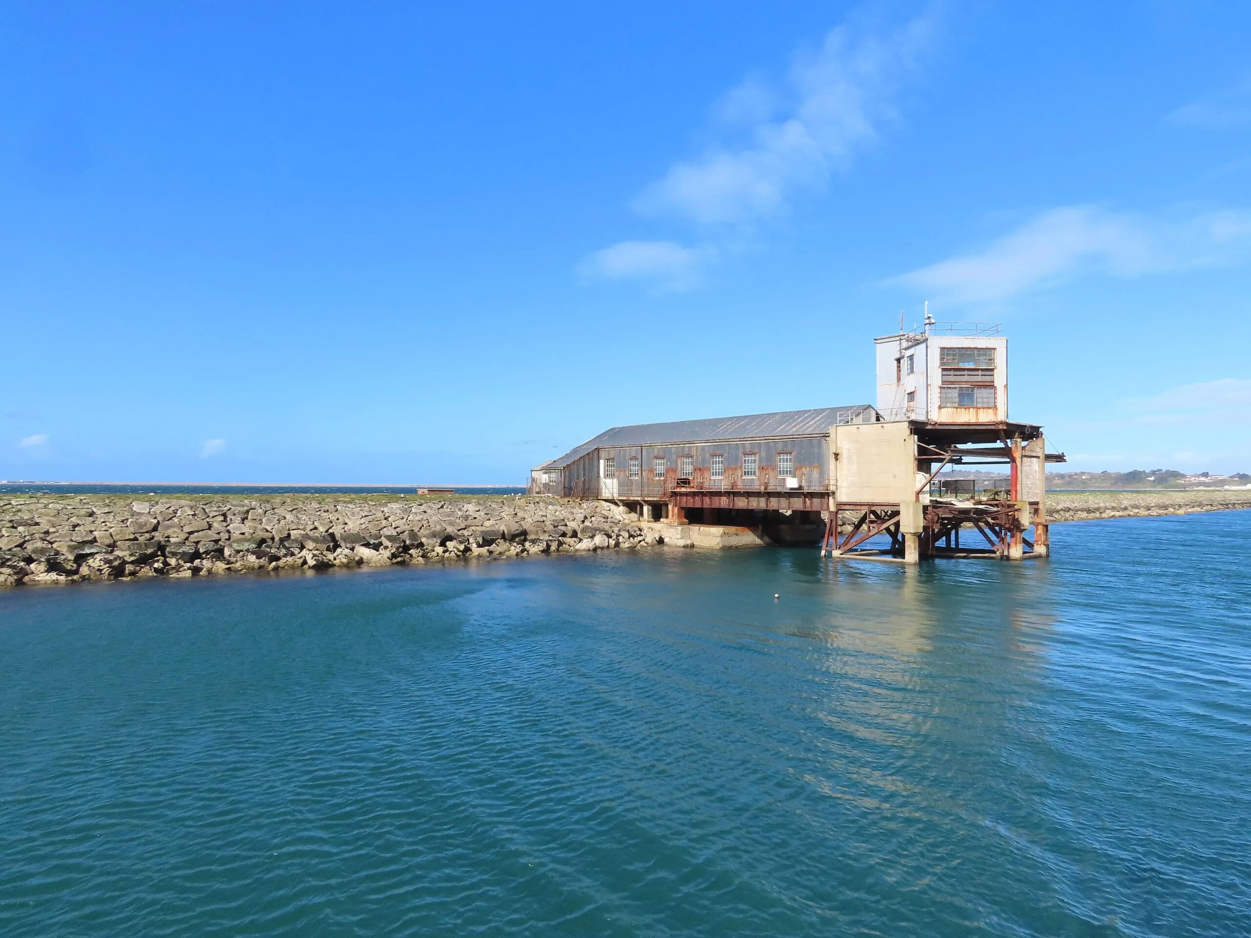 Birds and Breakfast on the Bay: Jurassic Coast Birdwatching Cruise from Weymouth photo 4