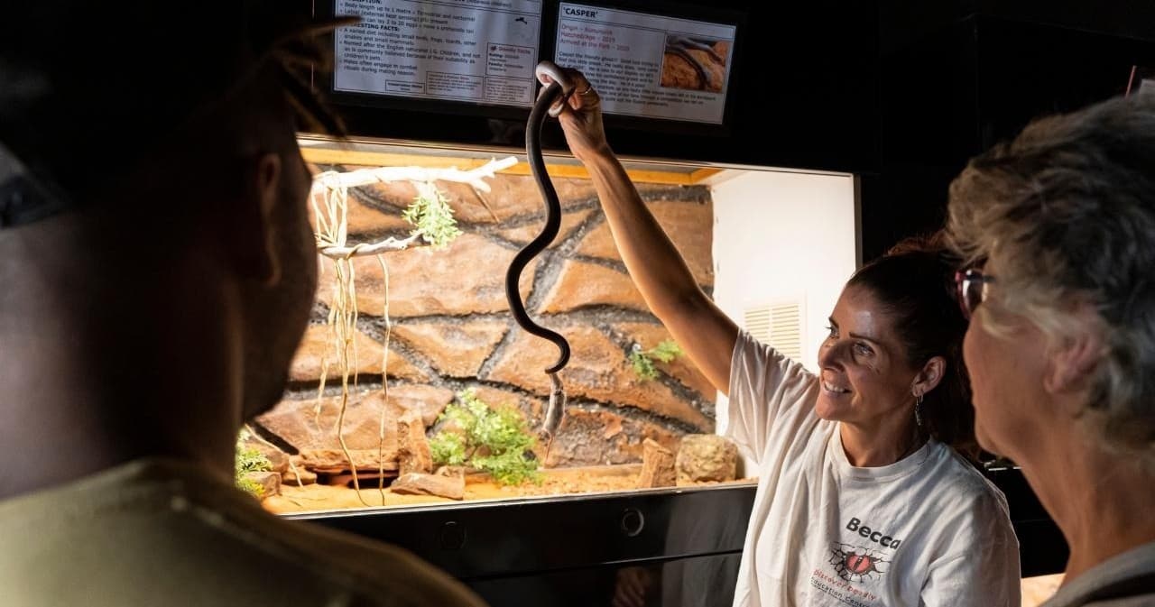 Outdoor Adventure & Scenic Tours with Discover Deadly in Deadly Basin