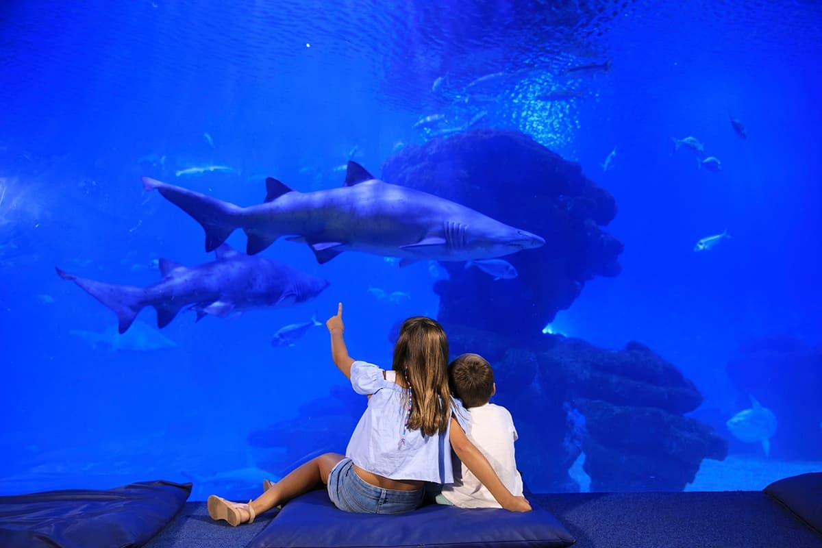 Marine Adventure at Palma Aquarium: Fast-Track Entry Experience