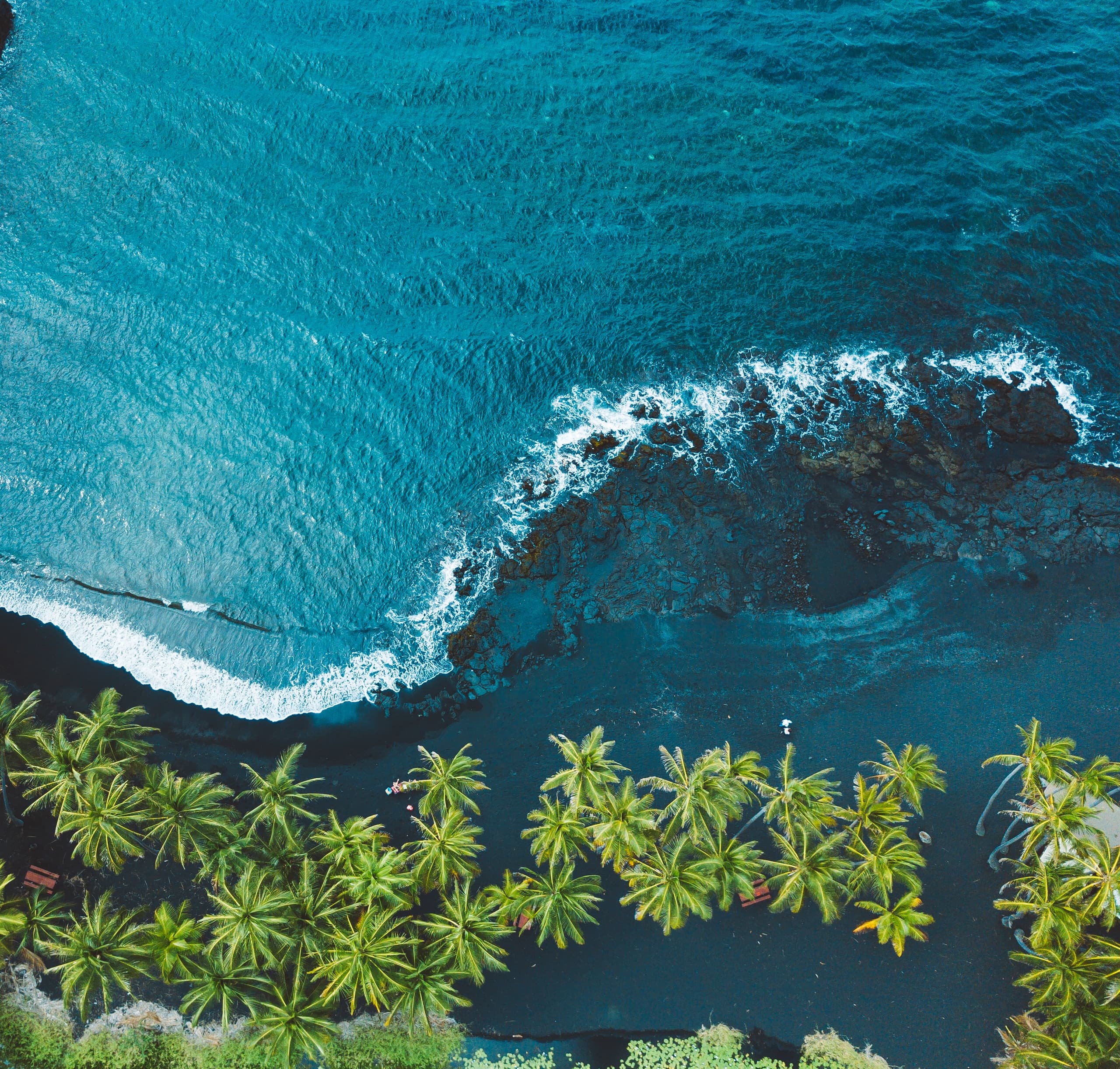 Aerial tropical coastline with palm trees and crashing surf