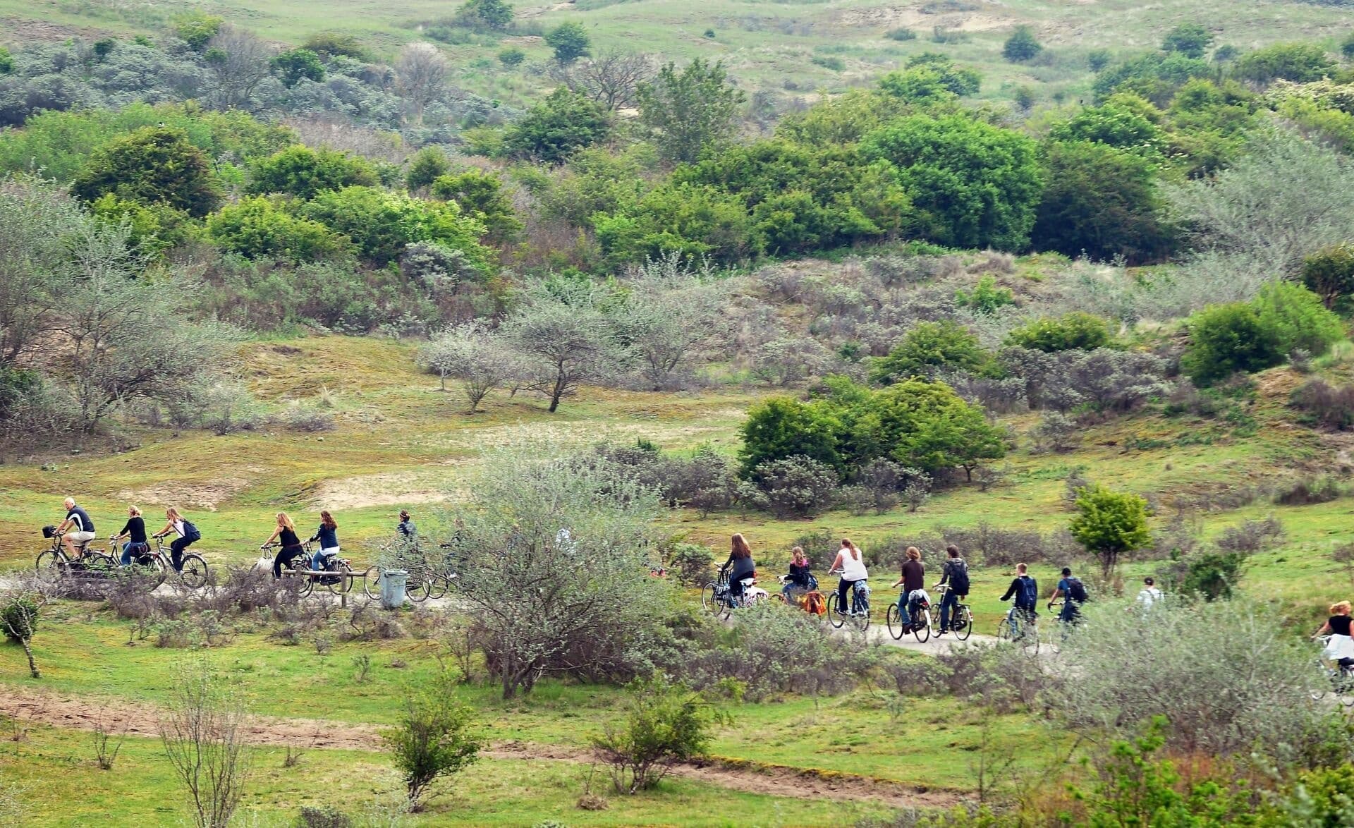 Group hiking across coastal dunes and scrubland near beach