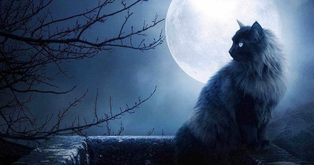 Explore the Haunted Hidden Corners of Williamsburg: Forgotten Spirits of the Past Walking Tour