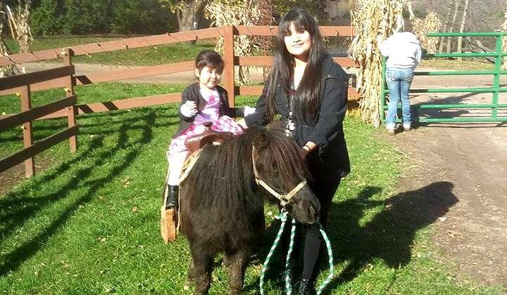 Land Adventures at Red Ridge Ranch: Ultimate Pony Ride Experience