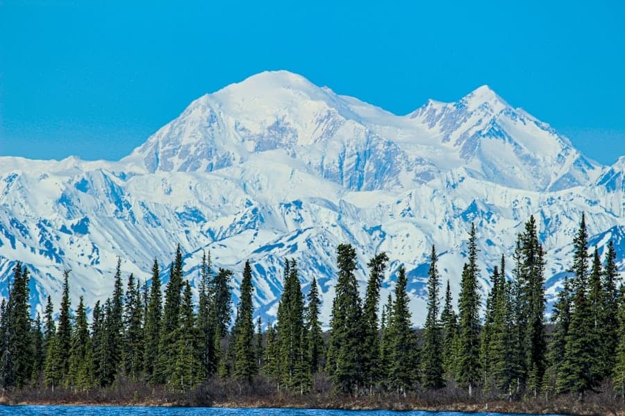 Ice Climbing Adventure at Denali National Park with Colorado Climbing Company